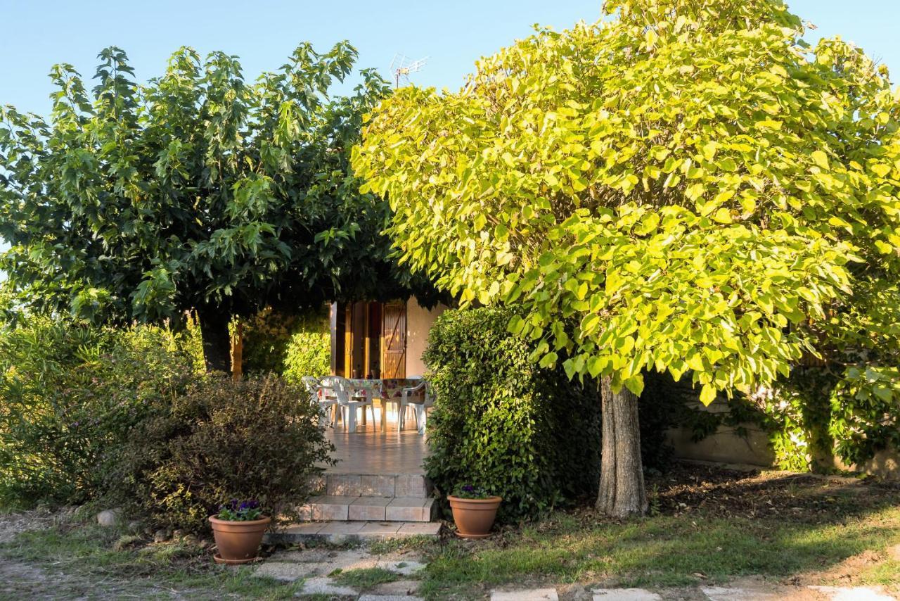 Bed and Breakfast Le Violet Gaillac Exterior foto